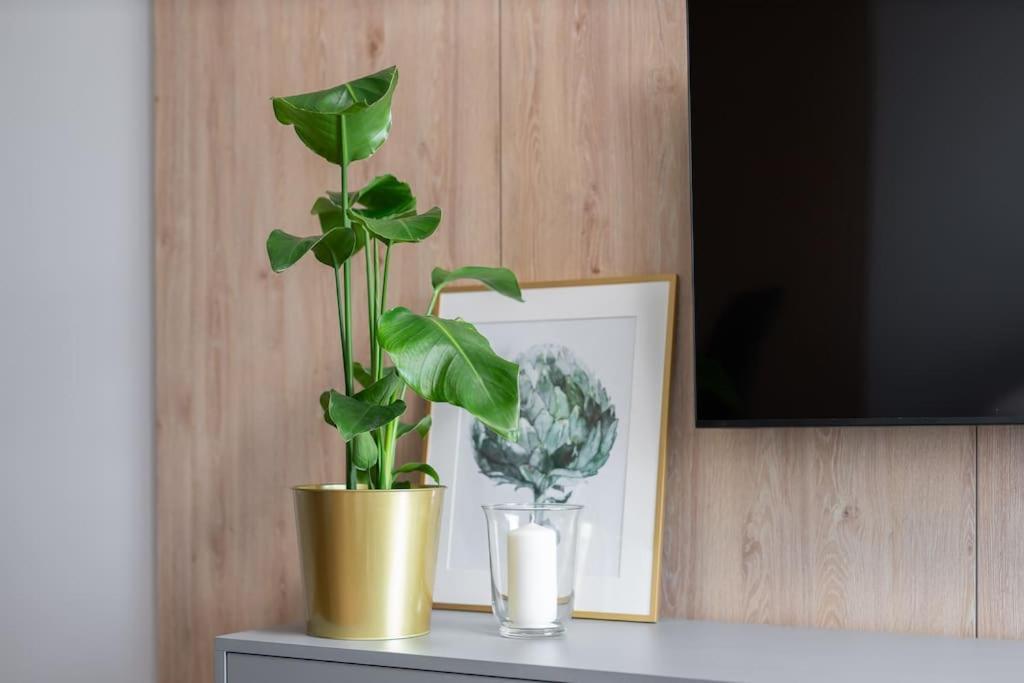 Apartament Echo Nowe Jezyce Poznań Zewnętrze zdjęcie